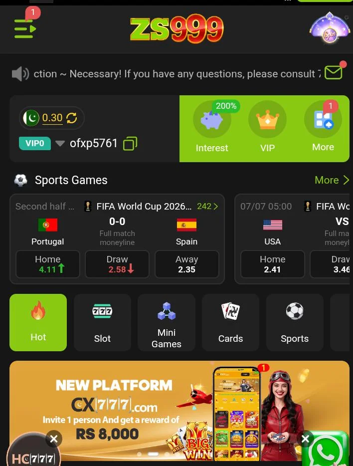 ZS999 Game
