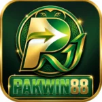 PakWin88 Game