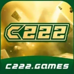 C222 Game